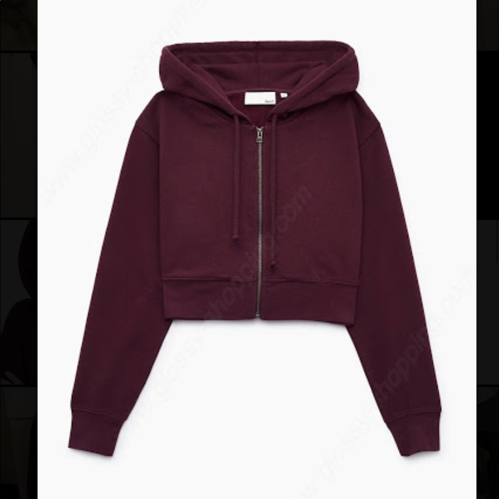 Aritzia- Wilfred - never worn - cropped hoodie.